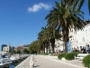 riva_split_palme